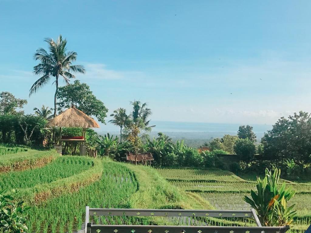 Pondok Apsari 2 Singaraja  Exterior photo